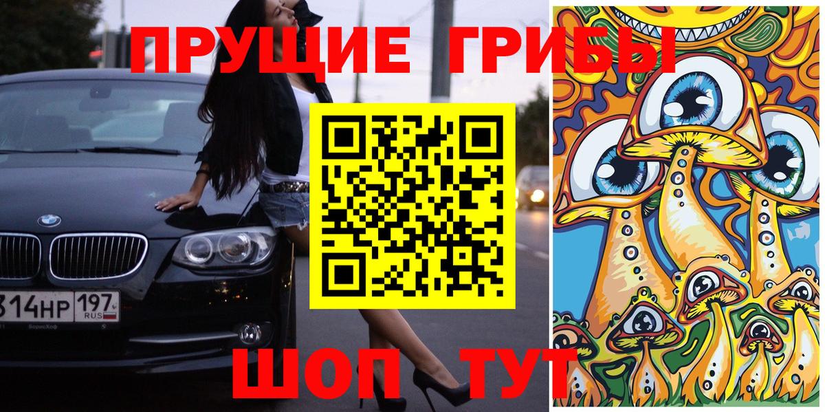 Зерноград  Галлюциногенные грибы Psilocybine cubensis  Вход с VPN  Псилоцибиновые грибы прущие грибы 