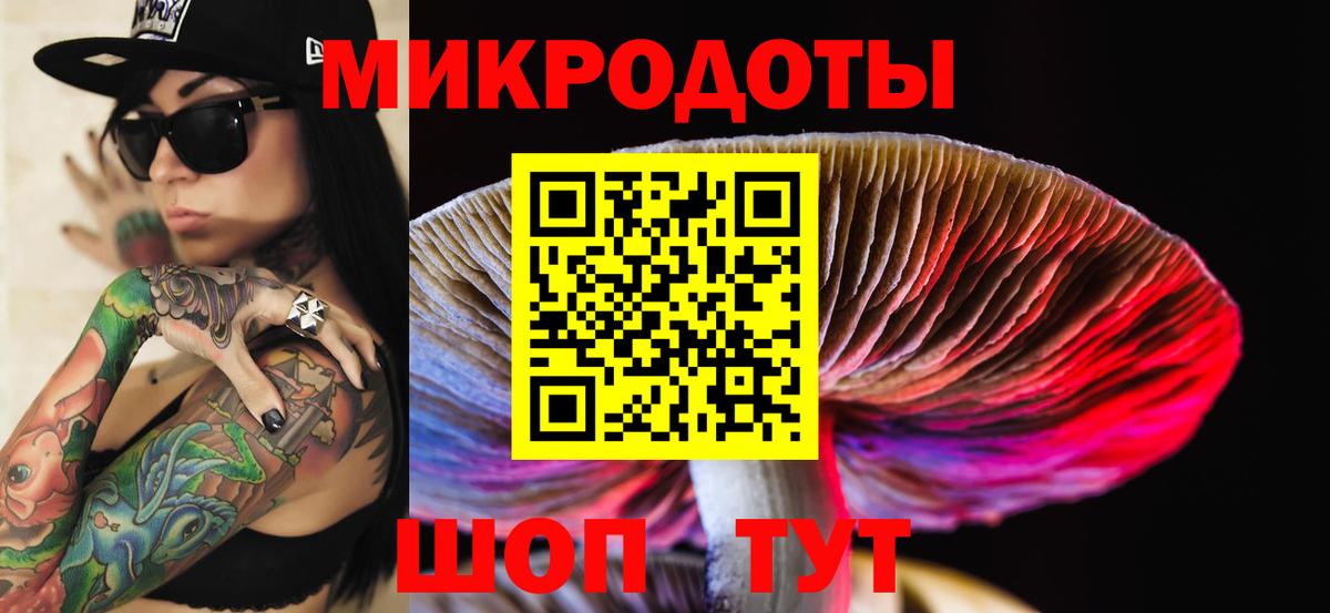 Галлюциногенные грибы мицелий Зерноград